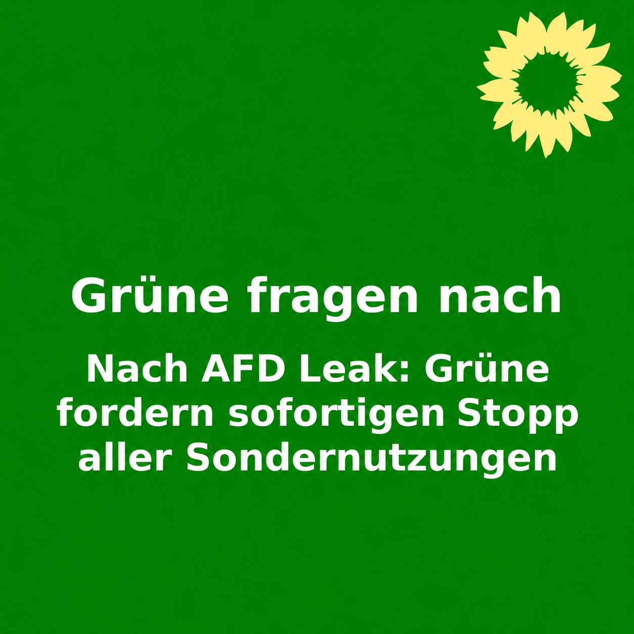 Grüne fragen nach